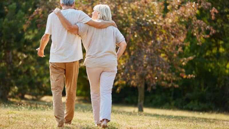 טיולים מאורגנים בארץ לגמלאים